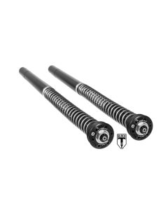 BLACK-T Cartridge Kit Touring for Ducati Scrambler Desert Sled (2017-)